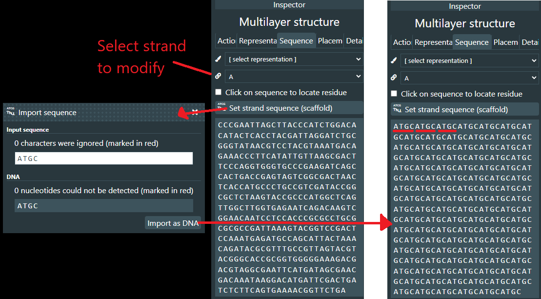 Setting strand sequence